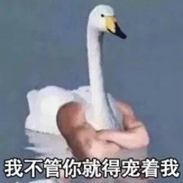 【抖音網(wǎng)紅比心鴨子表情包】比心鴨子高清無水印圖片分享