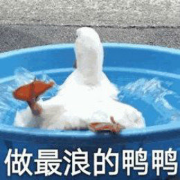 【抖音網(wǎng)紅比心鴨子表情包】比心鴨子高清無水印圖片分享