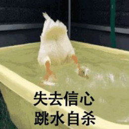 【抖音網(wǎng)紅比心鴨子表情包】比心鴨子高清無水印圖片分享