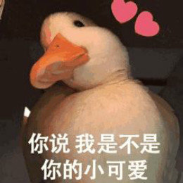 【抖音網(wǎng)紅比心鴨子表情包】比心鴨子高清無水印圖片分享