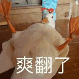 【抖音網(wǎng)紅比心鴨子表情包】比心鴨子高清無水印圖片分享