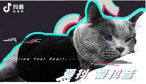 抖音六眼飛魚出自哪里？抖音六眼飛魚來源出處介紹