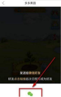 多多果園要怎么添加好友？多多果園添加微信好友教程分享