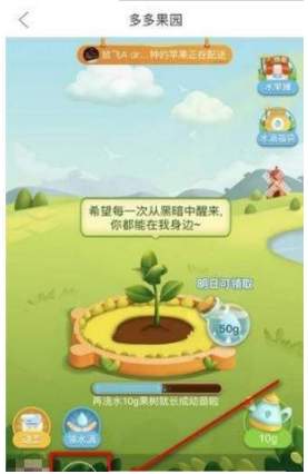 多多果園要怎么添加好友？多多果園添加微信好友教程分享