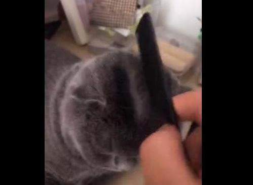 【抖音你讓我做大哥我教你梳中分什么?！砍鎏巸?nèi)涵