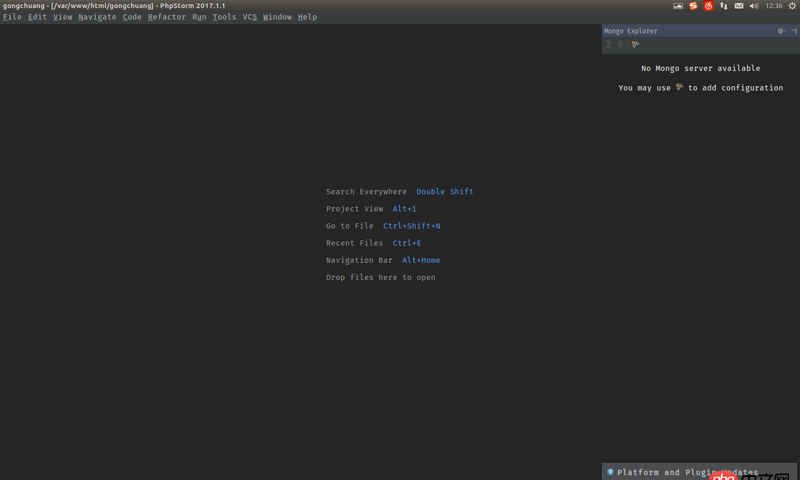 node.js - 如何在webstorm中啟動并連接mongodb數據庫呢？