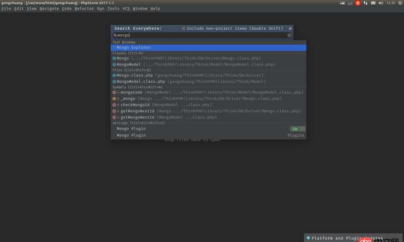 node.js - 如何在webstorm中啟動并連接mongodb數據庫呢？