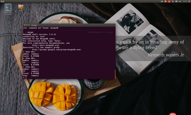node.js - 如何在webstorm中啟動并連接mongodb數據庫呢？