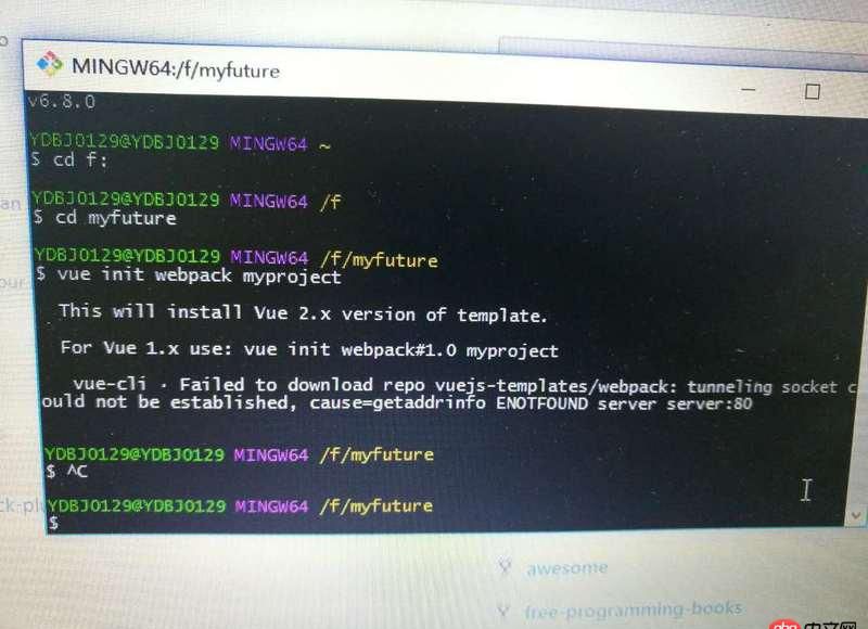 node.js - vue-cli構建報錯。。。生成不了模板，求解~！！