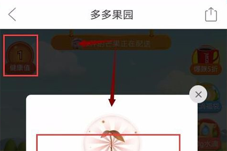 拼多多果園怎么施肥 果樹快速成長(zhǎng)方法