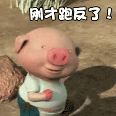 微信小豬跑步動態圖哪里找 一直在奔跑的小豬GIF圖分享