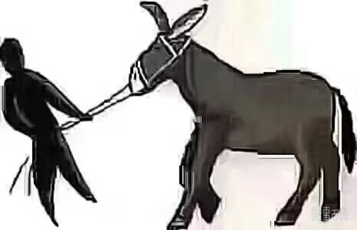 朋友圈驢為什么這么犟搞笑圖分享【高清無水印】