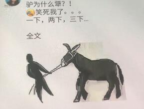 朋友圈驢為什么這么犟搞笑圖分享【高清無水印】