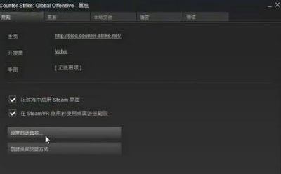 win10玩csgofps不穩定解決方法
