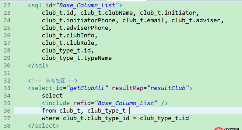 java - Mybatis查詢數據庫時出現查詢getInt(）的錯誤
