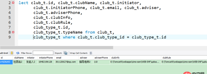 java - Mybatis查詢數據庫時出現查詢getInt(）的錯誤