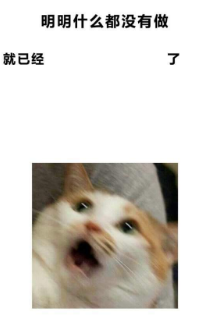 抖音明明什么都沒做就已經表情包高清無水印圖片完整版