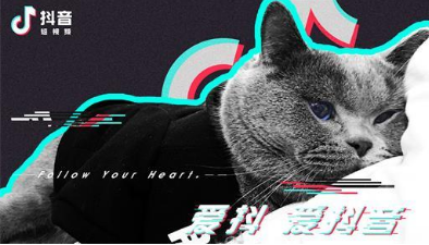 抖音違規會怎么樣？違規處理公告介紹