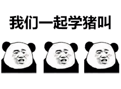 抖音我們一起學豬叫表情包介紹_我們一起學豬叫表情包分享