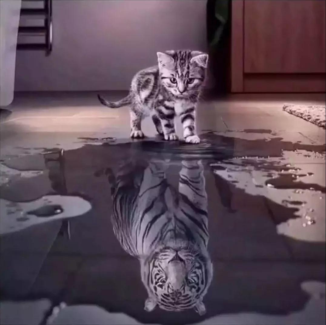 抖音內(nèi)心強(qiáng)大是什么梗_抖音內(nèi)心強(qiáng)大圖片分享【圖】