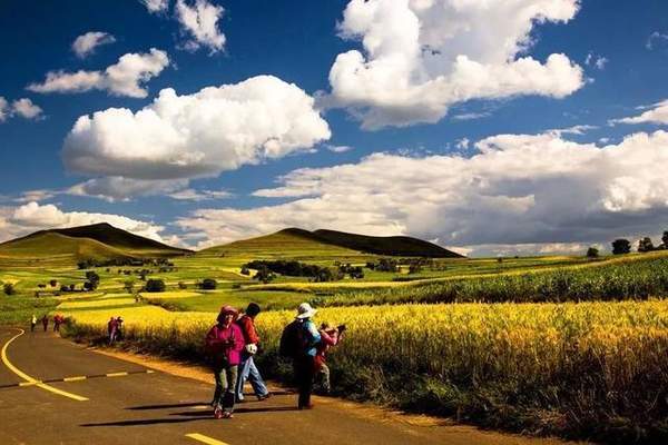 抖音河北為什么火了_抖音河北火了是什么梗