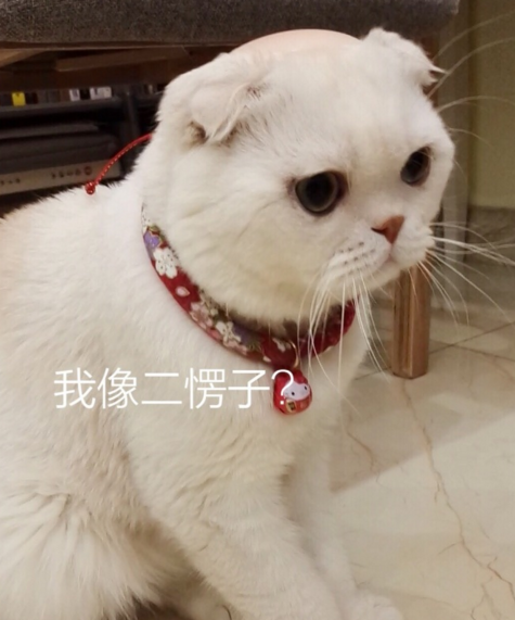 抖音粉絲最多的是誰(shuí) 2018年抖音人氣排行榜單一覽