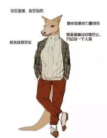 抖音動物系男友是什么意思？抖音動物系男友有哪些特征？