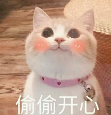 抖音喵喵喵貓咪表情包高清無水印圖片分享！