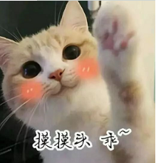 抖音喵喵喵貓咪表情包高清無水印圖片分享！