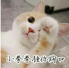 抖音喵喵喵貓咪表情包高清無水印圖片分享！