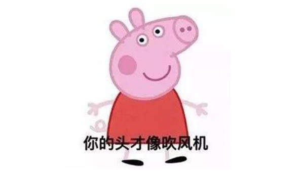 抖音小豬佩奇吹風(fēng)機(jī) 吹風(fēng)機(jī)社會(huì)豬為什么火