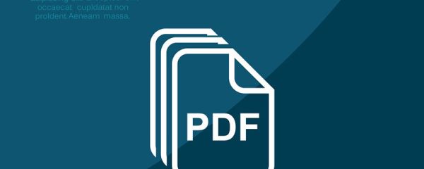 pdf是什么 pdf怎么轉換成word