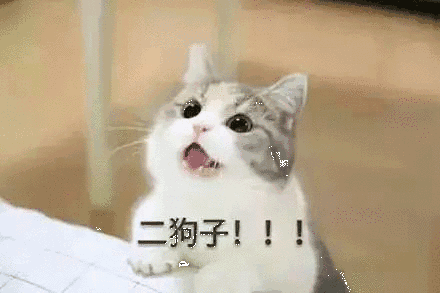 【抖音貓咪哄老公】超萌哄老公無水印表情包