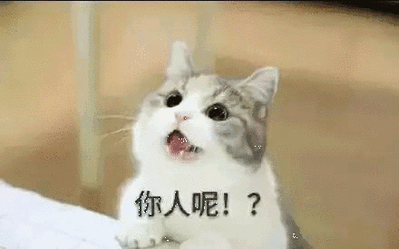 【抖音貓咪哄老公】超萌哄老公無水印表情包