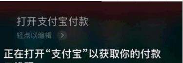 支付寶語音支付怎么使用_支付寶使用語音支付教程【圖】