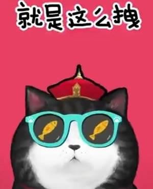 抖音我們喵星人就是辣么拽是什么歌 我們喵星人就是辣么拽表情包匯總