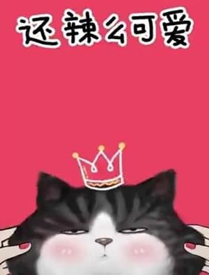 抖音我們喵星人就是辣么拽是什么歌 我們喵星人就是辣么拽表情包匯總