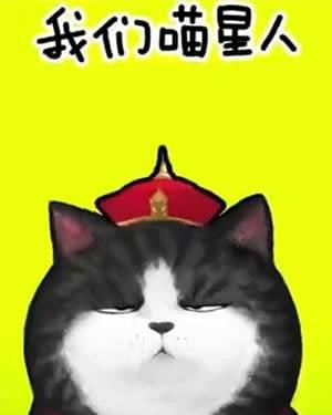 抖音我們喵星人就是辣么拽是什么歌 我們喵星人就是辣么拽表情包匯總