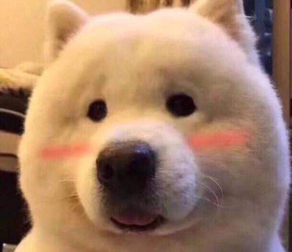 史含澍抖音尬舞在線試聽  完整歌詞分享