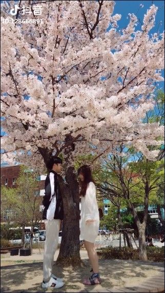 抖音愛的華爾茲背景音樂是什么？抖音愛的華爾茲背景音樂介紹