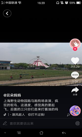 抖音騎鴕鳥賽跑背景音樂是什么？抖音哈哈哈哈你打不過我吧歌曲介紹