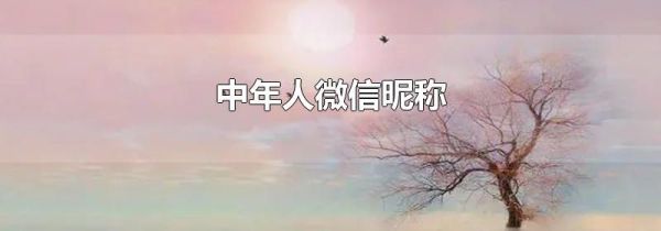 中年人微信昵稱