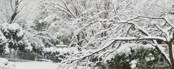 初雪發朋友圈句子 冬季第一場雪朋友圈文案