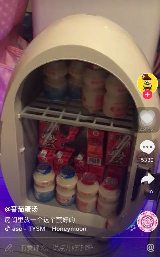 抖音迷你冰箱是什么 抖音迷你冰箱在哪能買