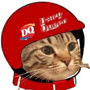 抖音社會人頭像無水印圖片分享【多圖】