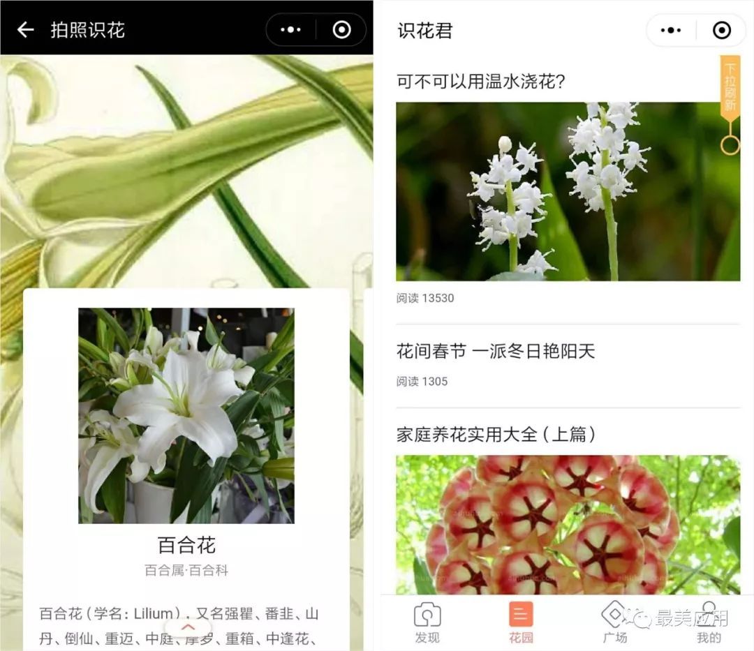 微信有什么實用的小程序？使用程序推薦