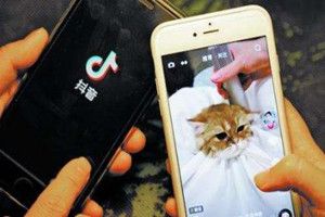 抖音里的音樂怎么下載到手機上？抖音上的歌曲怎么下載到手機上