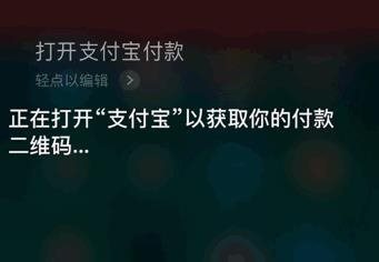 iPhone支付寶語音付款是真嗎_iPhone支付寶語音付款怎么弄
