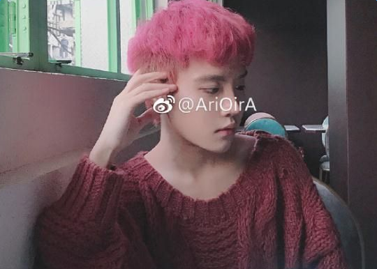 抖音95后小仙男是什么梗_95后小仙男是誰個(gè)人資料