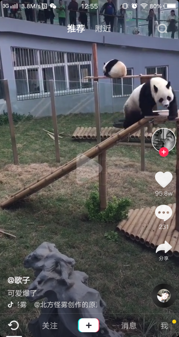 抖音皮大大什么梗？皮大大出處分享